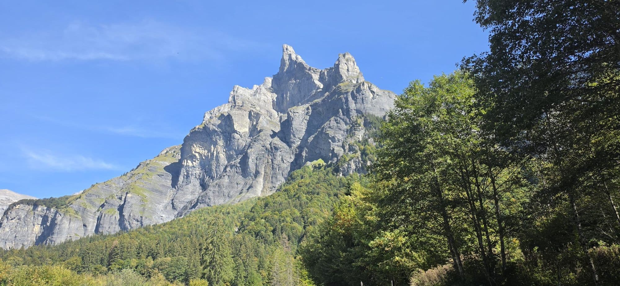 Paroi rocheuse et forêt en Haute-Savoie